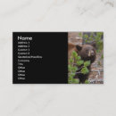 Search for black bear business cards Outdoors