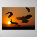 Search for hawk paintings posters Silhouette