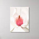 Search for white magnolia canvas prints Garden
