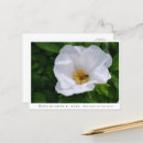 Search for bee horizontal postcards Honey