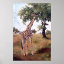 Search for zoo art Brown