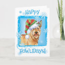 Search for picard postcards Picardy shepherd