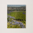 Search for vineyard puzzles California