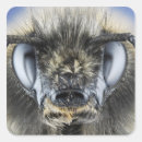 Search for one eye stickers Antenna