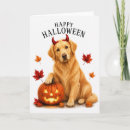 Search for golden retriever halloween cards Cute halloween dog