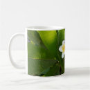 Search for frangipani flowers mugs Plumeria