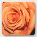 Search for rose cork coasters Home