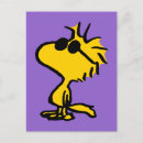 Search for cool birds postcards Cartoon