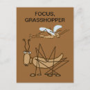 Search for grasshoppers postcards Cartoon