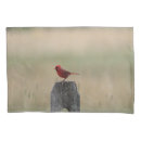 Search for cardinals pillowcases Bird