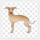 Search for cartoon paws stickers Illustration