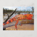 Search for exotic lizard postcards Nature