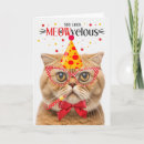 Search for orange cat birthday cards Cats