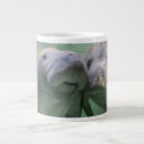 Search for florida manatee mugs Beach