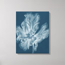 Search for graphics canvas prints Botanical