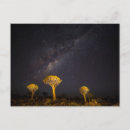 Search for danita delimont postcards Milky way