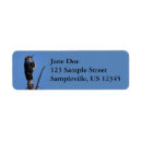 Search for woodpecker return address labels Nature
