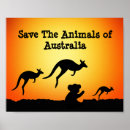 Search for save animals posters Koala