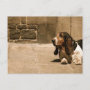 Search for basset dog postcards Black