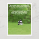 Search for individuality cards Quote