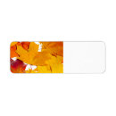 Search for fall colours return address labels Foliage