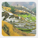 Search for cultivated stickers Agriculture