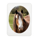 Search for horse lovers magnets Farm animals