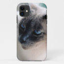 Search for siamese iphone cases Blue eyes