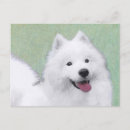 Search for samoyed dog postcards Bjelkier