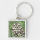 Search for athene key rings Bird