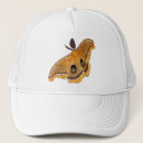 Search for moth hats Insects