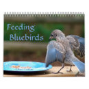 Search for bluebird calendars Nature