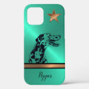 Search for brushed steel iphone cases Shiny