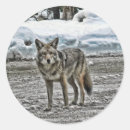 Search for animal eyes stickers Snow