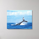 Search for breaching Whale
