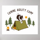 Search for border collie posters Agility
