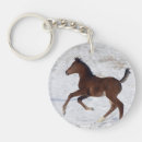 Search for foal key rings Snow