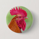 Search for roosters badges Animals
