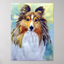 Search for sheltie posters Pets