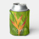 Search for heliconia Flower