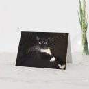 Search for funny guitar birthday cards Cat