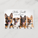 Search for dog grooming business cards Pet sitting services
