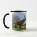 Search for fox hunt mugs Wildlife