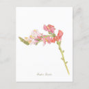 Search for flower illustration postcards Flowers