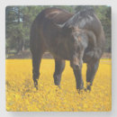 Search for susans barware Black eyed susan