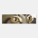 Search for maine bumper stickers Black