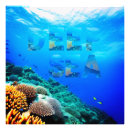 Search for deep dive posters Blue