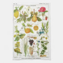 Search for plant tea towels Orange