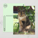 Search for stray vertical postcards Postcrossing