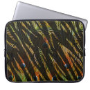 Search for peacock feather pattern Exotic